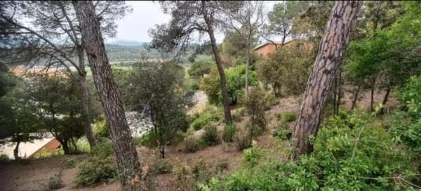 Terreno en avenida Mirador, 8 Parcela thumbnail 2