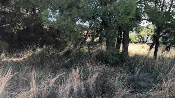 Terreno en calle Estatut thumbnail 2