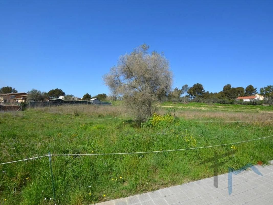 Terreno en venta en Masquefa, Barcelona photo 4