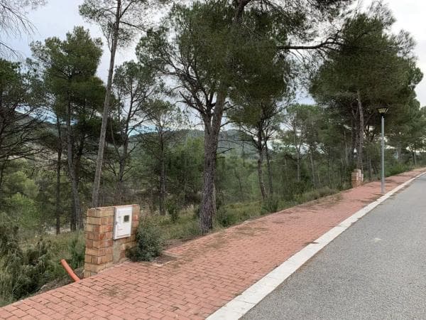Terreno en calle dels Pins photo 1