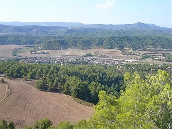 Terreno en calle dels Pins photo 3