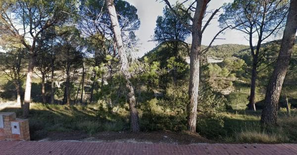 Terreno en calle dels Pins photo 4