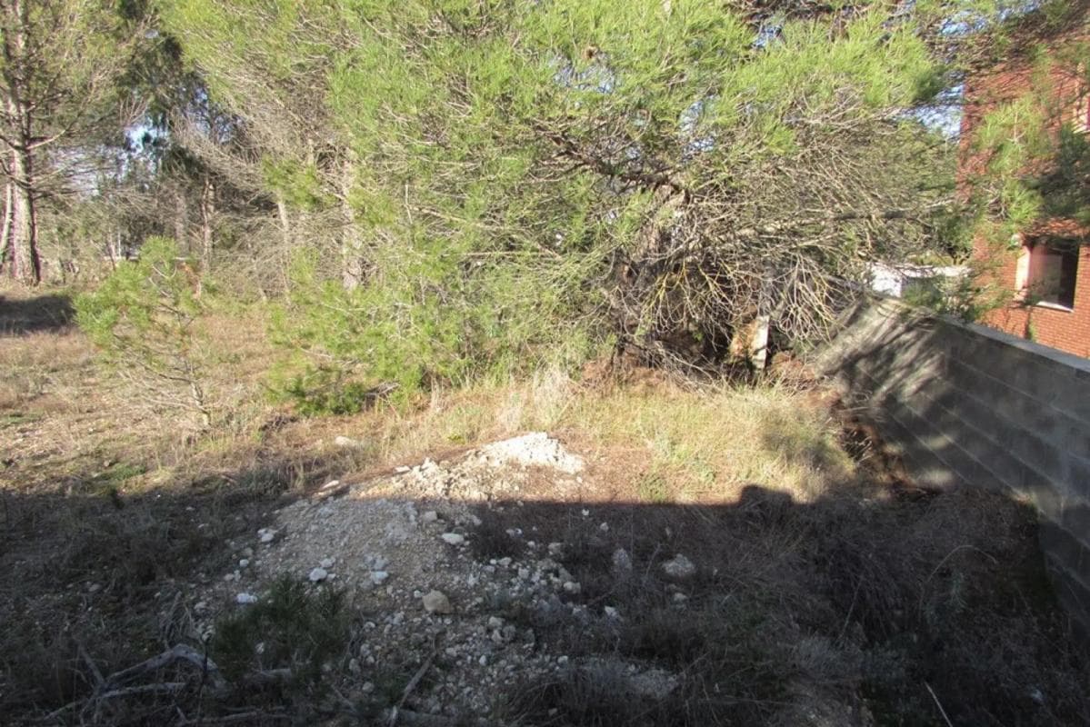 Terreno en venta en Pobla De Claramunt, La, Barcelona photo 2