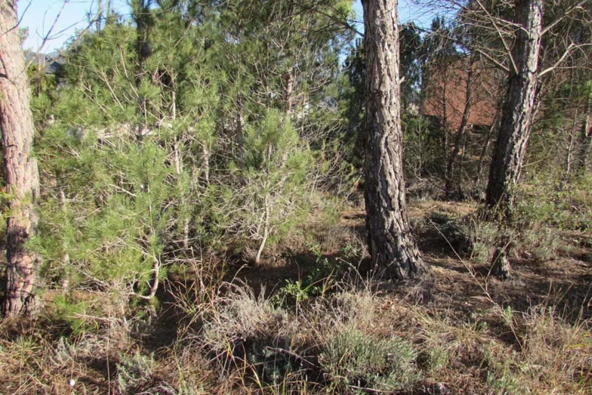 Terreno en venta en Pobla De Claramunt, La, Barcelona photo 5