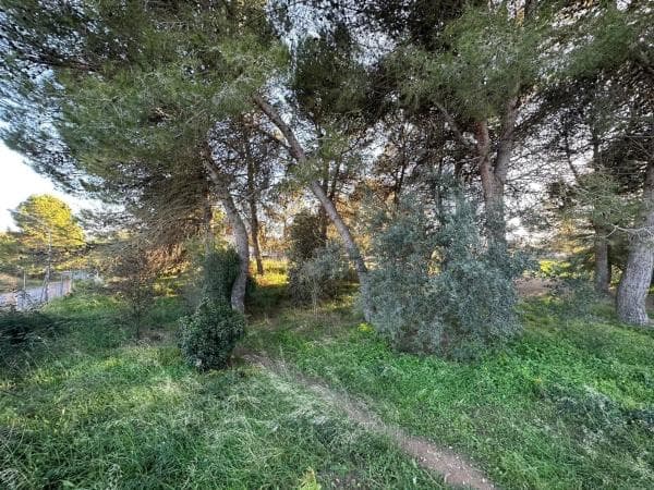 Terreno en Centre photo 2