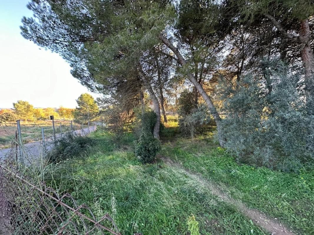 Terreno en venta en Igualada, Barcelona photo 3