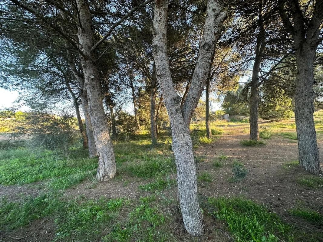 Terreno en venta en Igualada, Barcelona photo 5