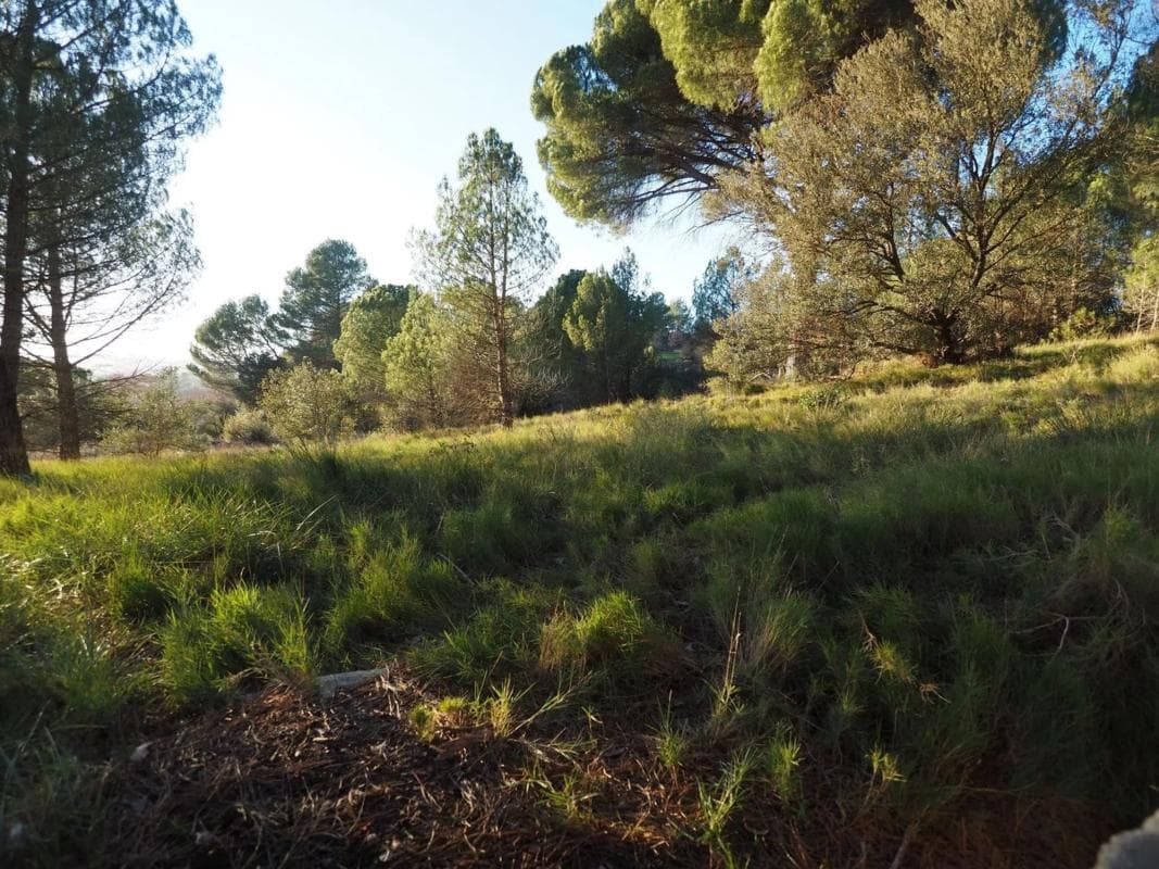 Terreno en venta en Igualada, Barcelona photo 3