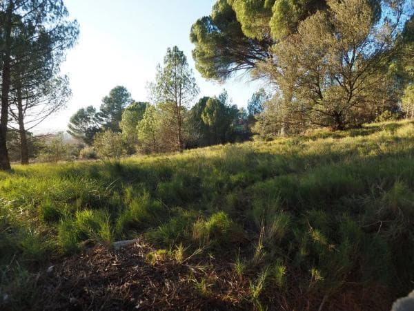 Terreno en calle la Conca de Barberà thumbnail 2