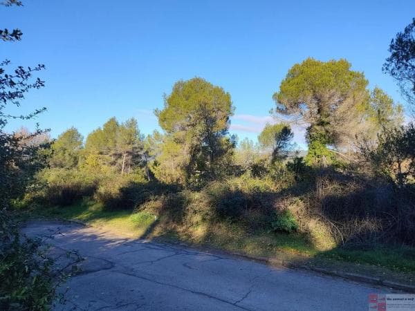 Terreno en calle Cirerer, 50 -40 thumbnail 2