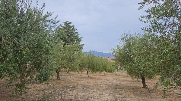 Terreno en camino Can Pujades photo 1