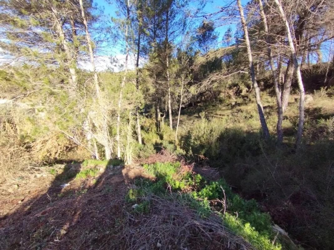 Terreno en venta en Pobla De Claramunt, La, Barcelona photo 2