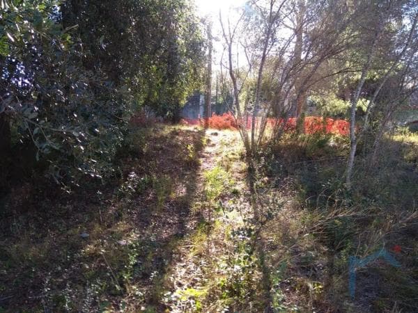 Terreno en calle de la Rosaleda photo 1
