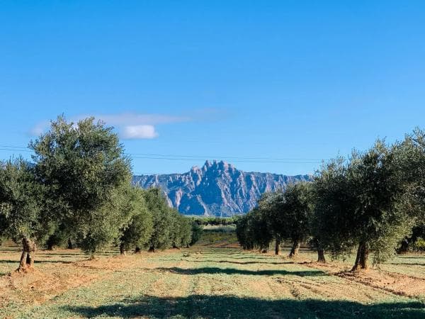 Terreno en avenida Aires de Montserrat, 30 thumbnail 2
