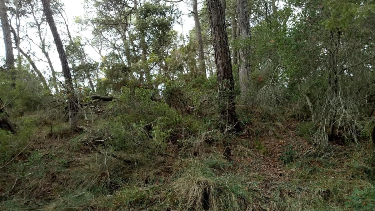 Terreno en venta en Llacuna, La, Barcelona photo 4