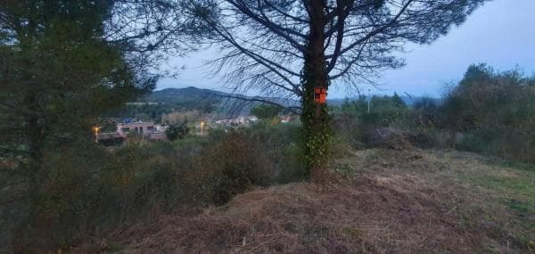 Terreno en Carme photo 3