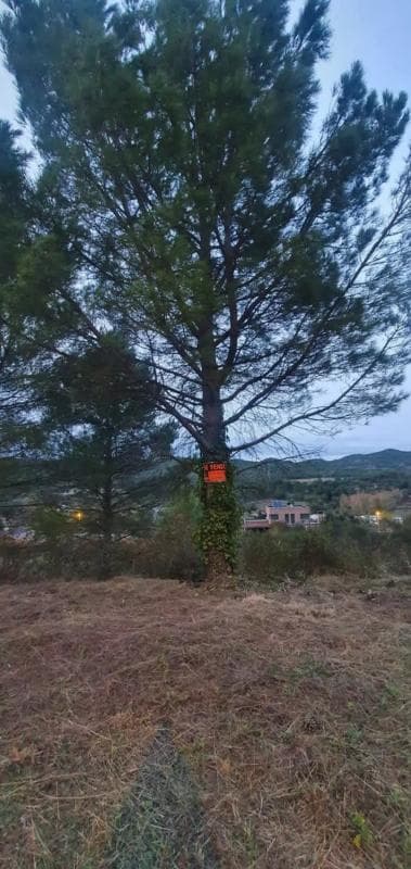 Terreno en venta en Carme, Barcelona photo 4