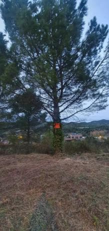 Terreno en Carme photo 4