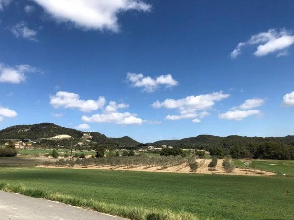 Terreno en riera de castelloli s/n photo 1