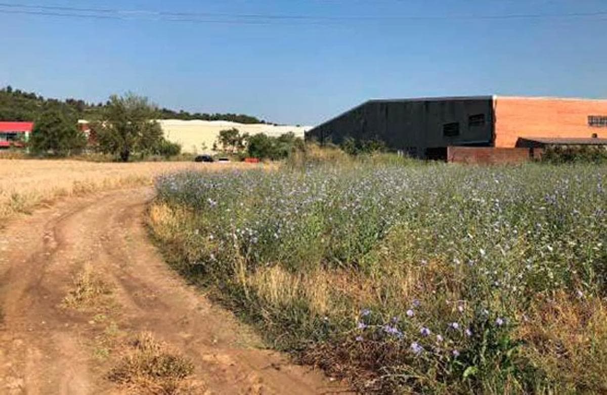 Terreno en venta en Sant Vicenç de Castellet, Barcelona photo 3