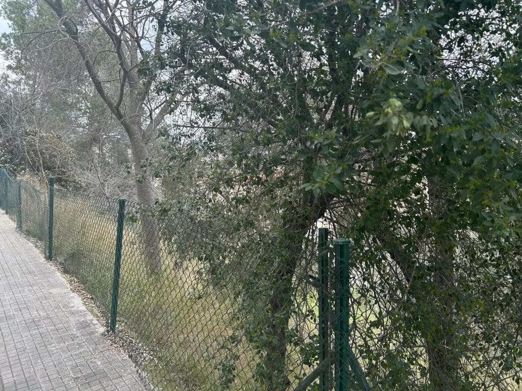 Terreno en venta en Monistrol de Montserrat, Barcelona photo 3