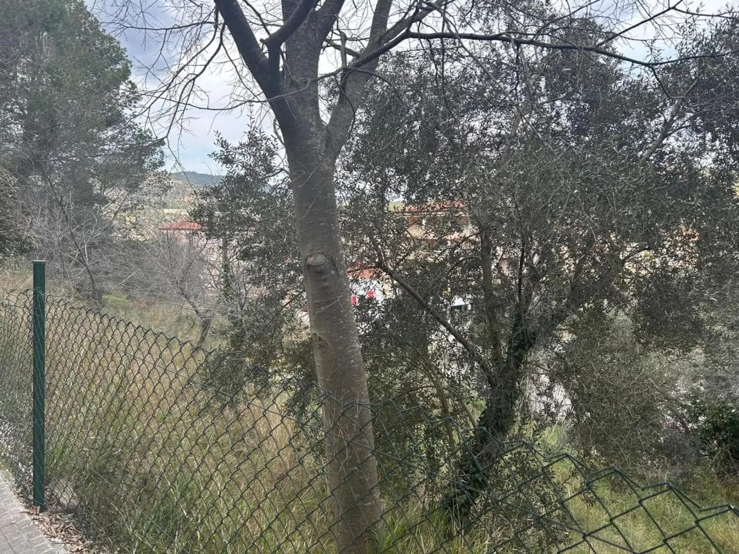 Terreno en venta en Monistrol de Montserrat, Barcelona photo 4
