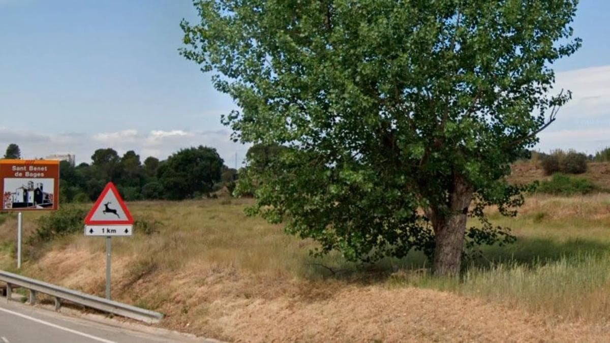 Terreno en venta en Sant Fruitós de Bages, Barcelona photo 5