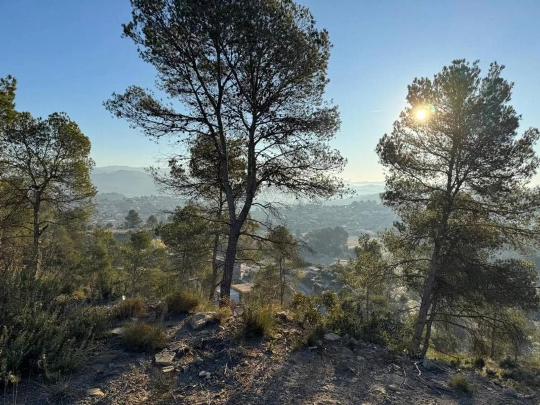 Terreno en venta en Castellgalí, Barcelona photo 3