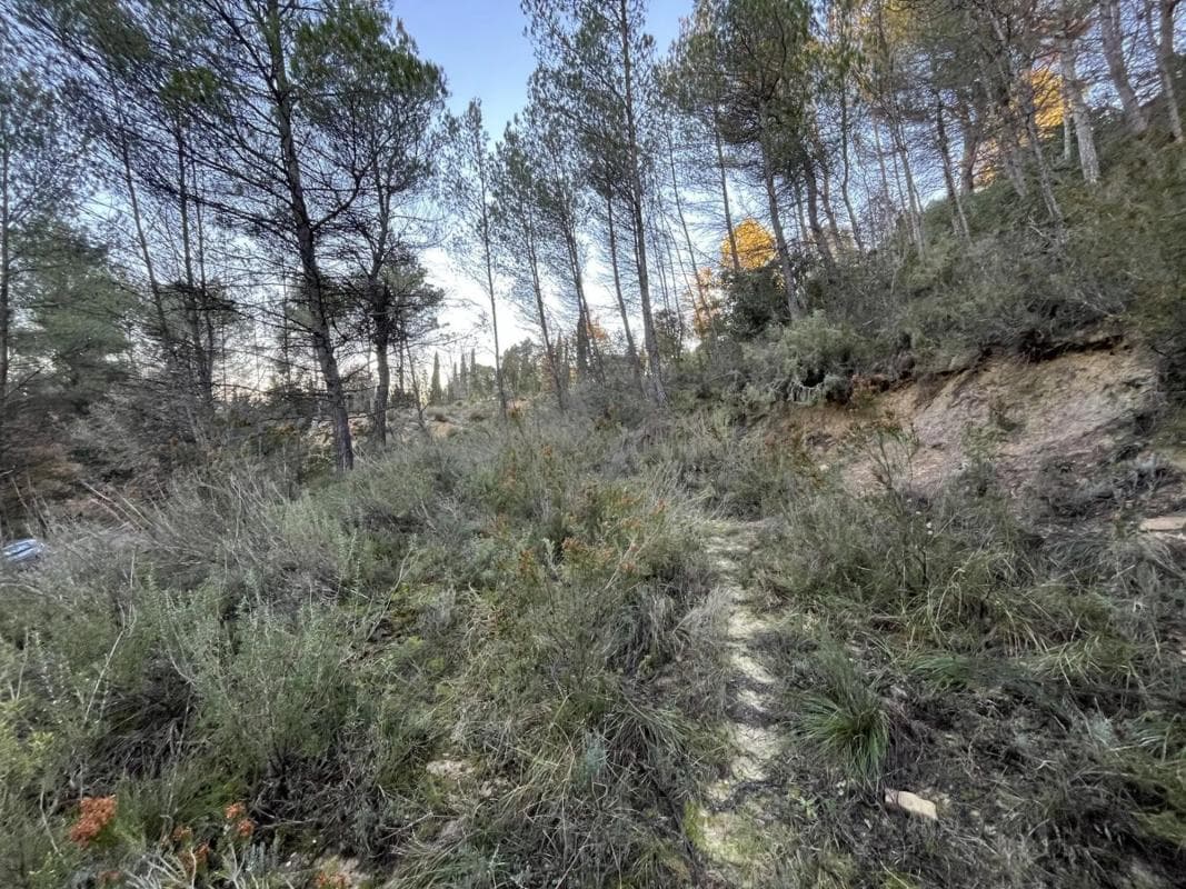 Terreno en venta en Castellbell I El Vilar, Barcelona photo 2