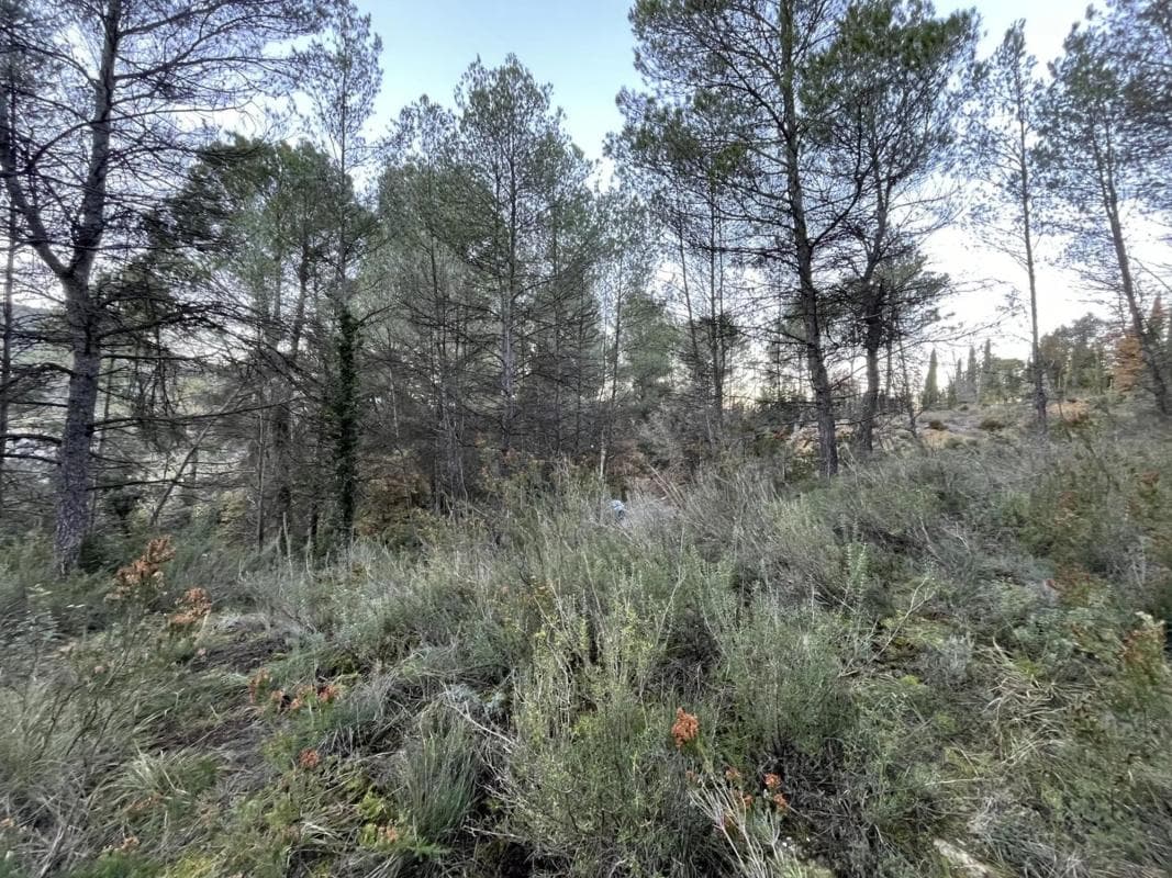 Terreno en venta en Castellbell I El Vilar, Barcelona photo 3
