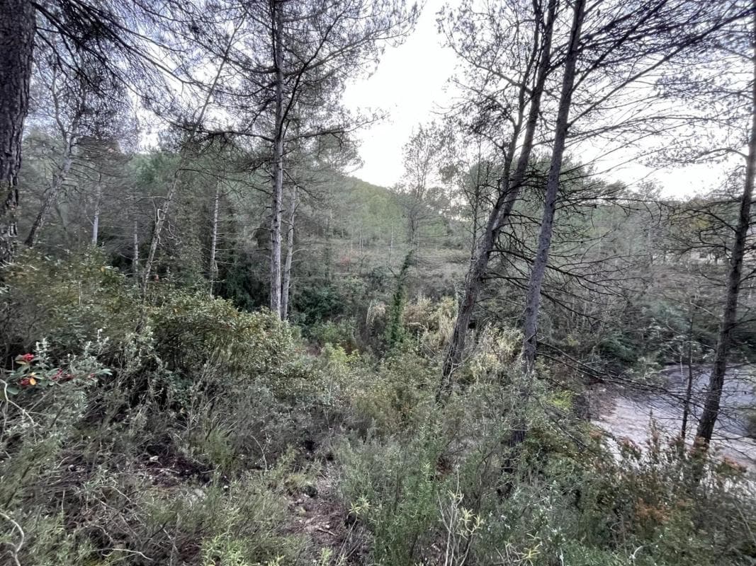 Terreno en venta en Castellbell I El Vilar, Barcelona photo 4