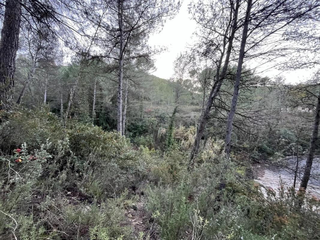 Terreno en venta en Castellbell I El Vilar, Barcelona photo 5