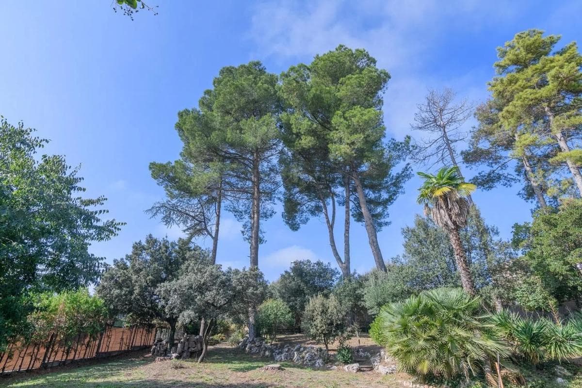 Terreno en venta en Sant Fruitós de Bages, Barcelona photo 3