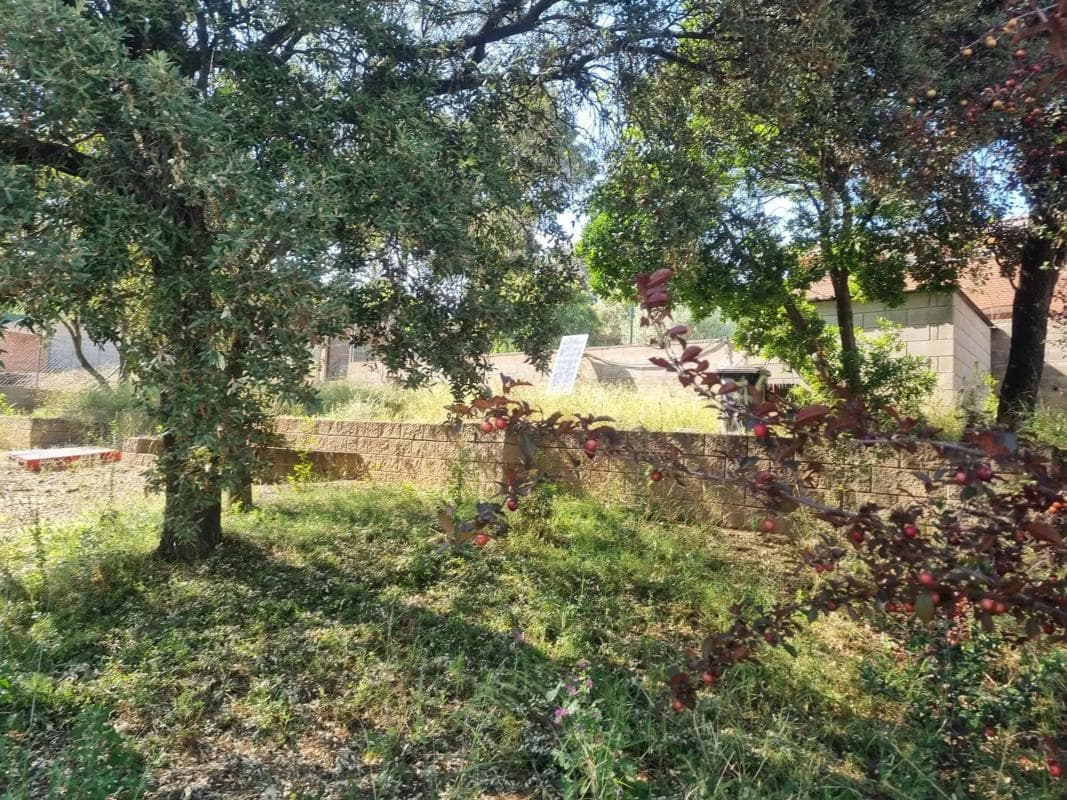 Terreno en venta en Castellnou de Bages, Barcelona photo 3