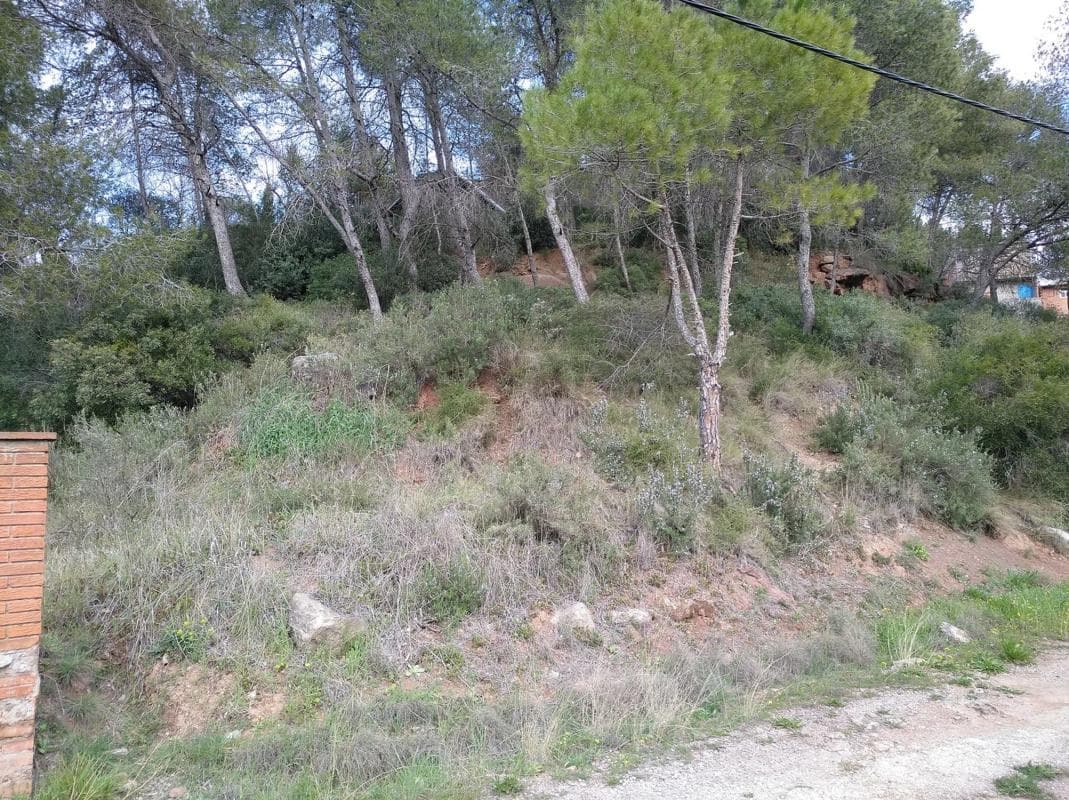 Terreno en venta en Castellbell I El Vilar, Barcelona photo 3