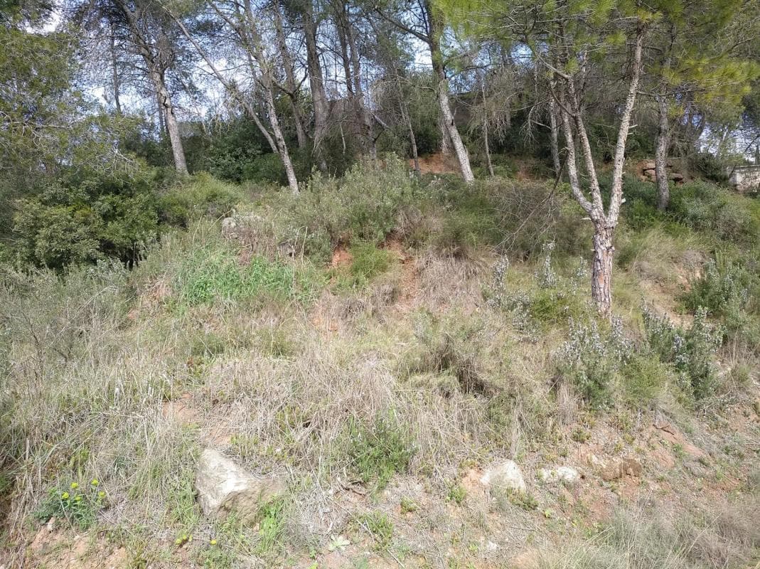 Terreno en venta en Castellbell I El Vilar, Barcelona photo 4