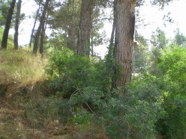 Terreno en Castellgalí thumbnail 2