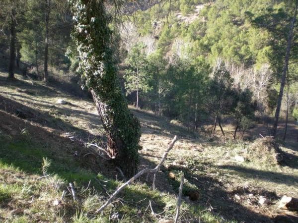 Terreno en Castellnou de Bages thumbnail 1