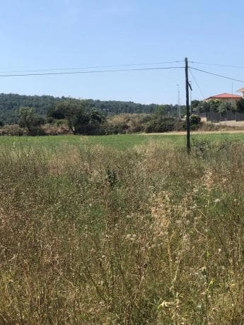 Terreno en Navarcles photo 4