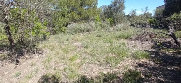 Terreno en calle de Mas Penedes photo 1