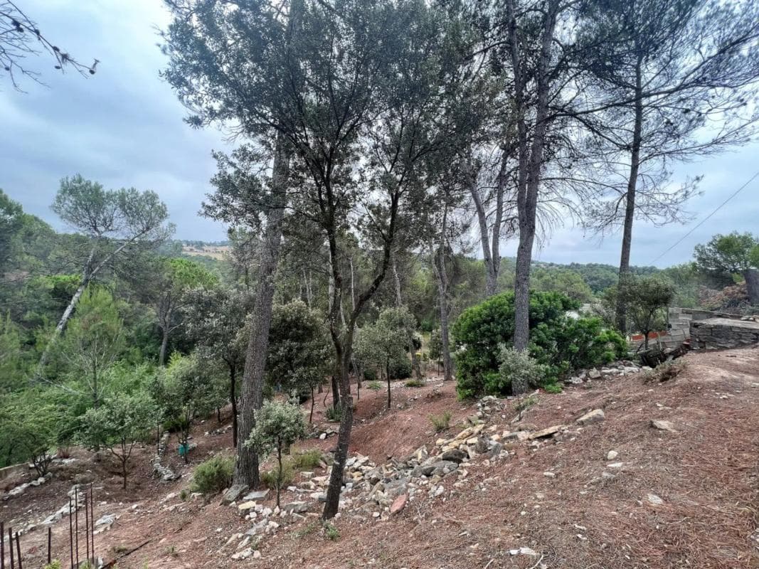 Terreno en venta en Castellnou de Bages, Barcelona photo 3