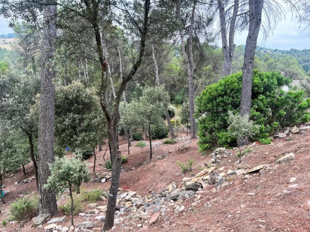 Terreno en venta en Castellnou de Bages, Barcelona photo 4
