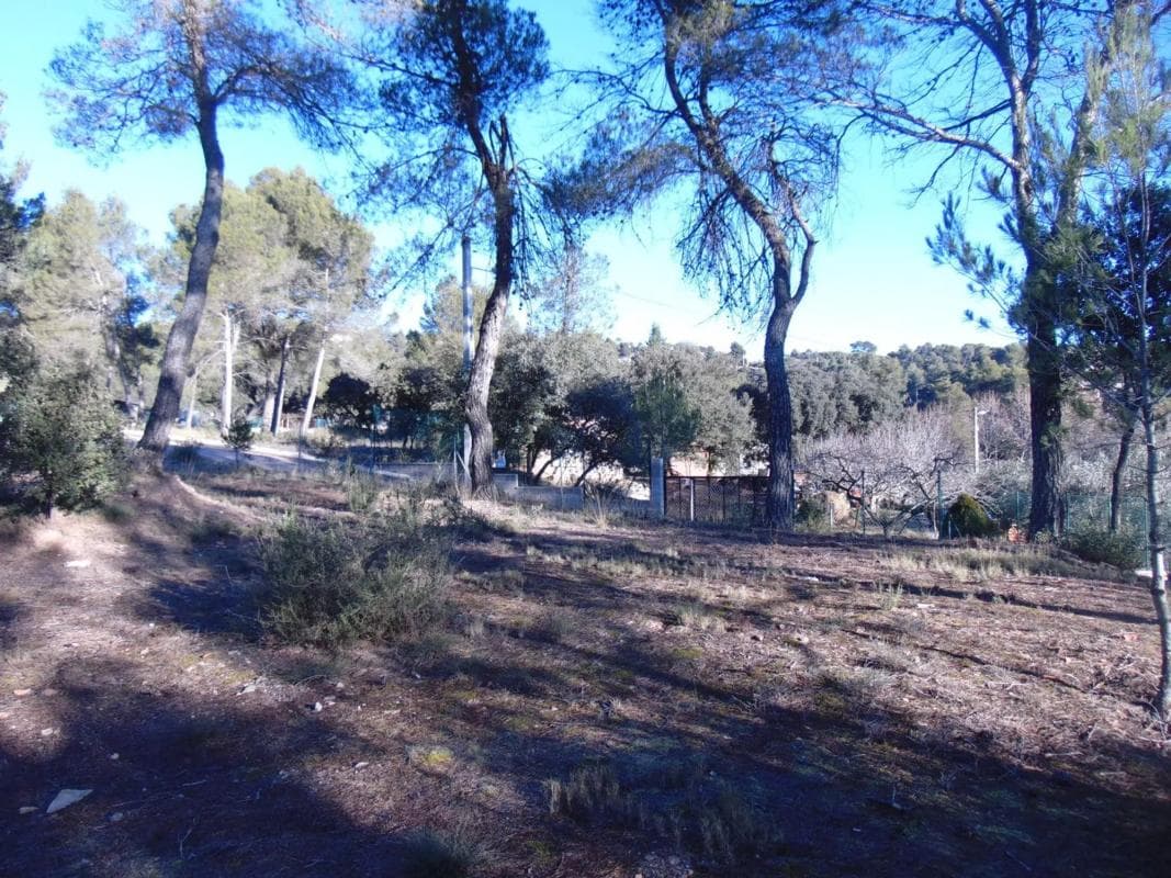 Terreno en venta en Castellnou de Bages, Barcelona photo 4