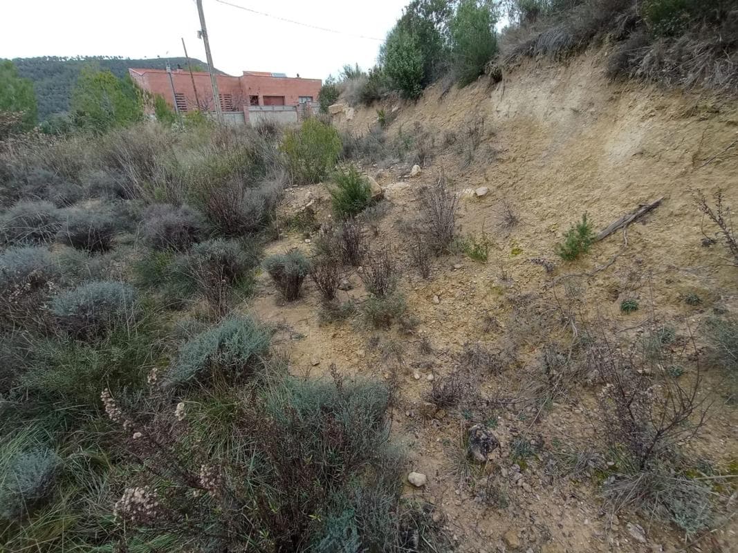Terreno en venta en Castellbell I El Vilar, Barcelona photo 2