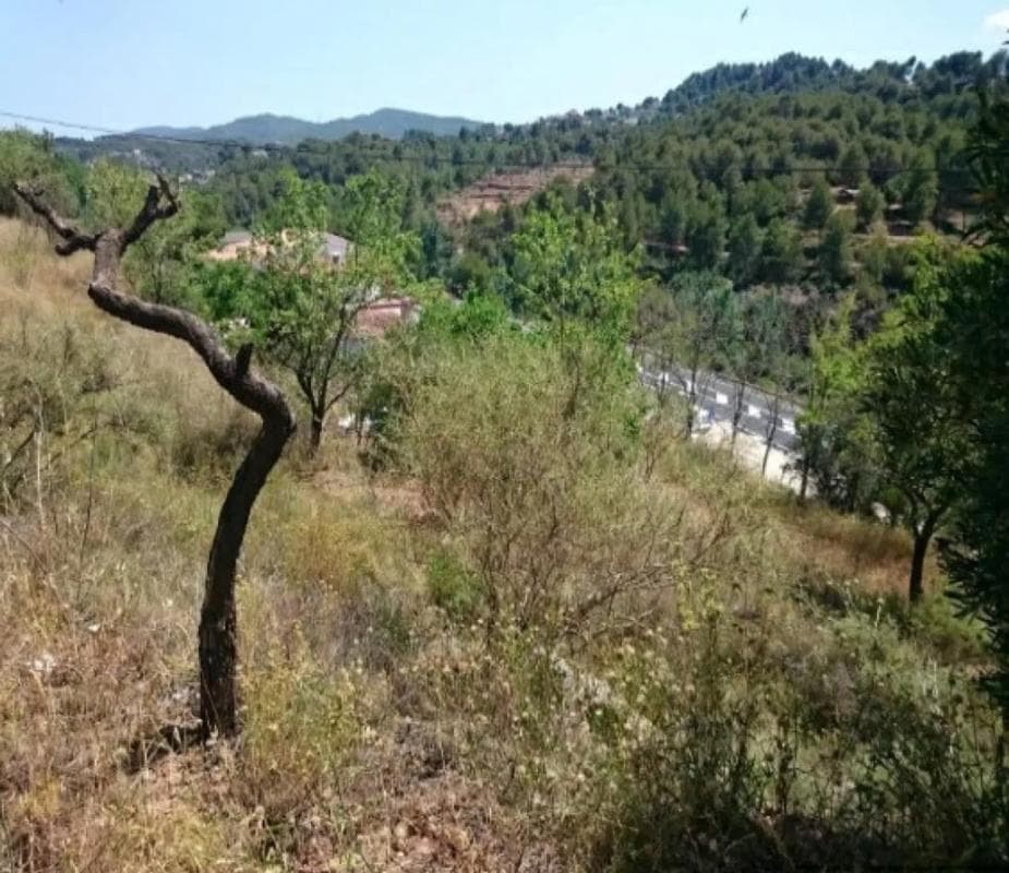 Terreno en venta en Castellbell I El Vilar, Barcelona photo 3