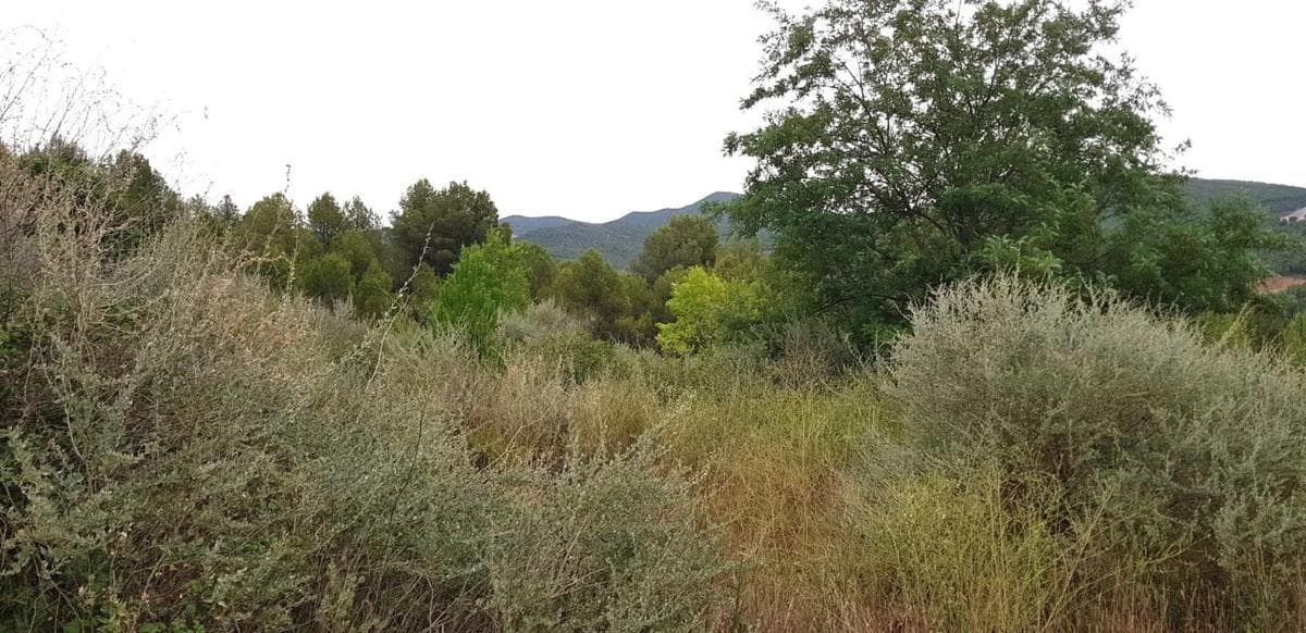 Terreno en venta en Súria, Barcelona photo 3