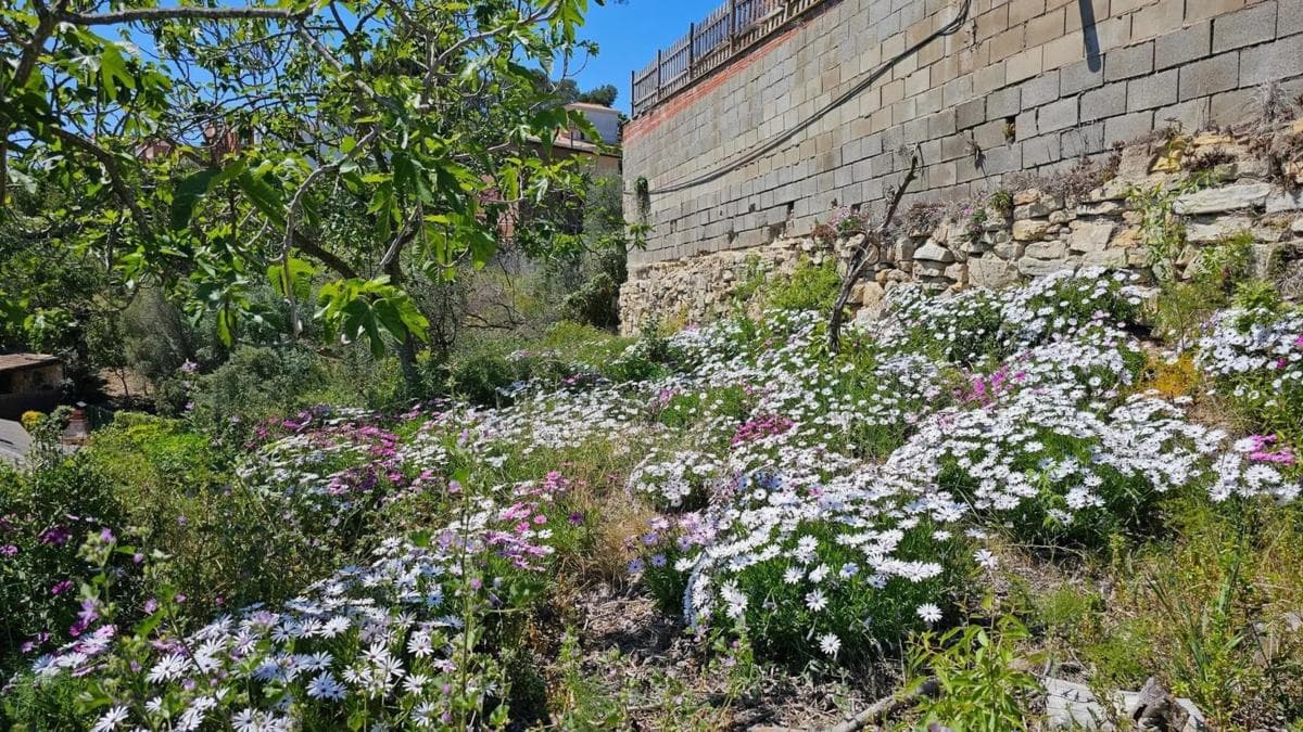 Terreno en venta en Pallejà, Barcelona photo 4
