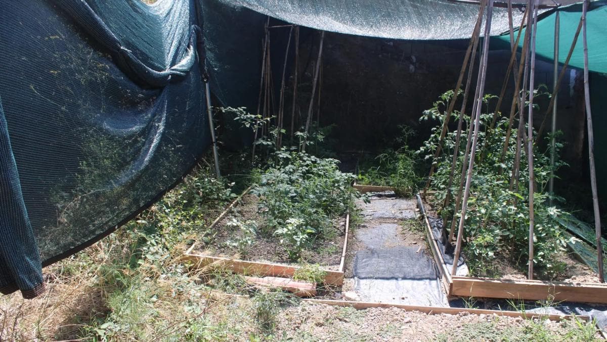 Terreno en venta en Abrera, Barcelona photo 5