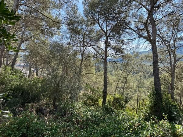 Terreno en avenida dels Països Catalans, 25 thumbnail 2