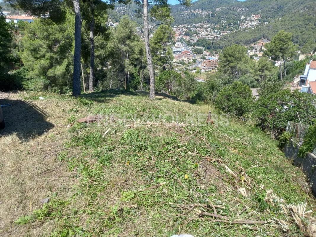 Terreno en venta en Cervelló, Barcelona photo 3